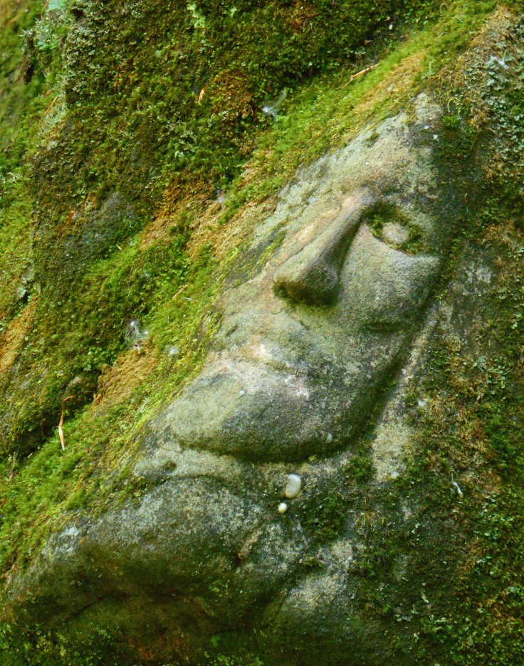 Worden Park Face Carving